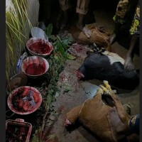 Voodoo specialist [+27] 63 4oo2579 Black magic Johannesburg,Sangoma healer Boksburg,Brakpan,